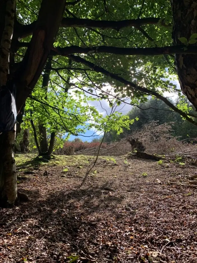 View from our tent pitch