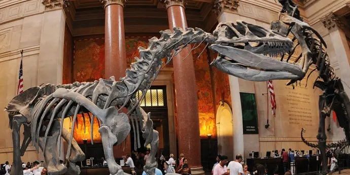 American Natural History Museum