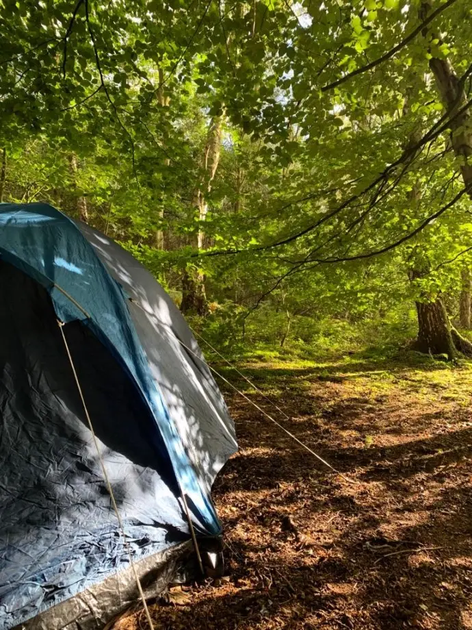 Another view from our tent